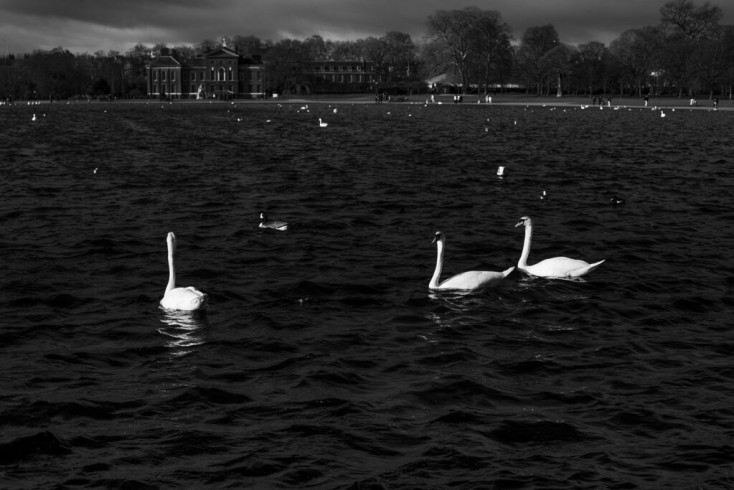 Kensington Palace, Diana you will always be here