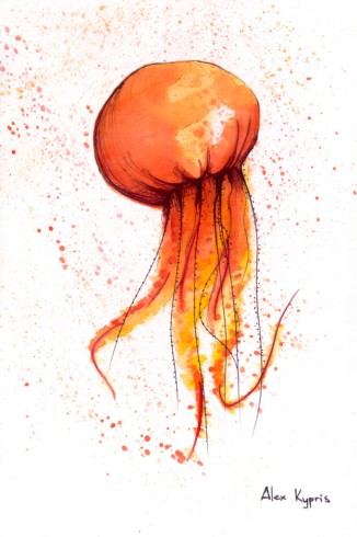 Orange jellyfish