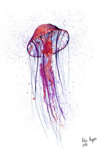 Pink-blue Jellyfish