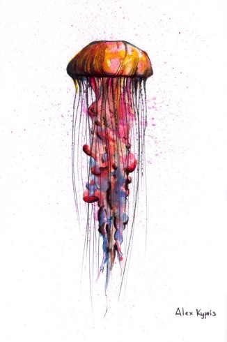 Pink jellyfish