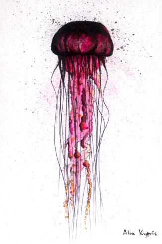 Purple jellyfish