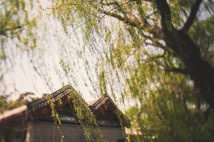 Revelatation, Beijing