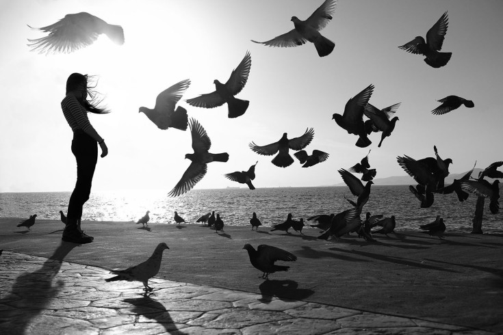 A Place Among Them 8