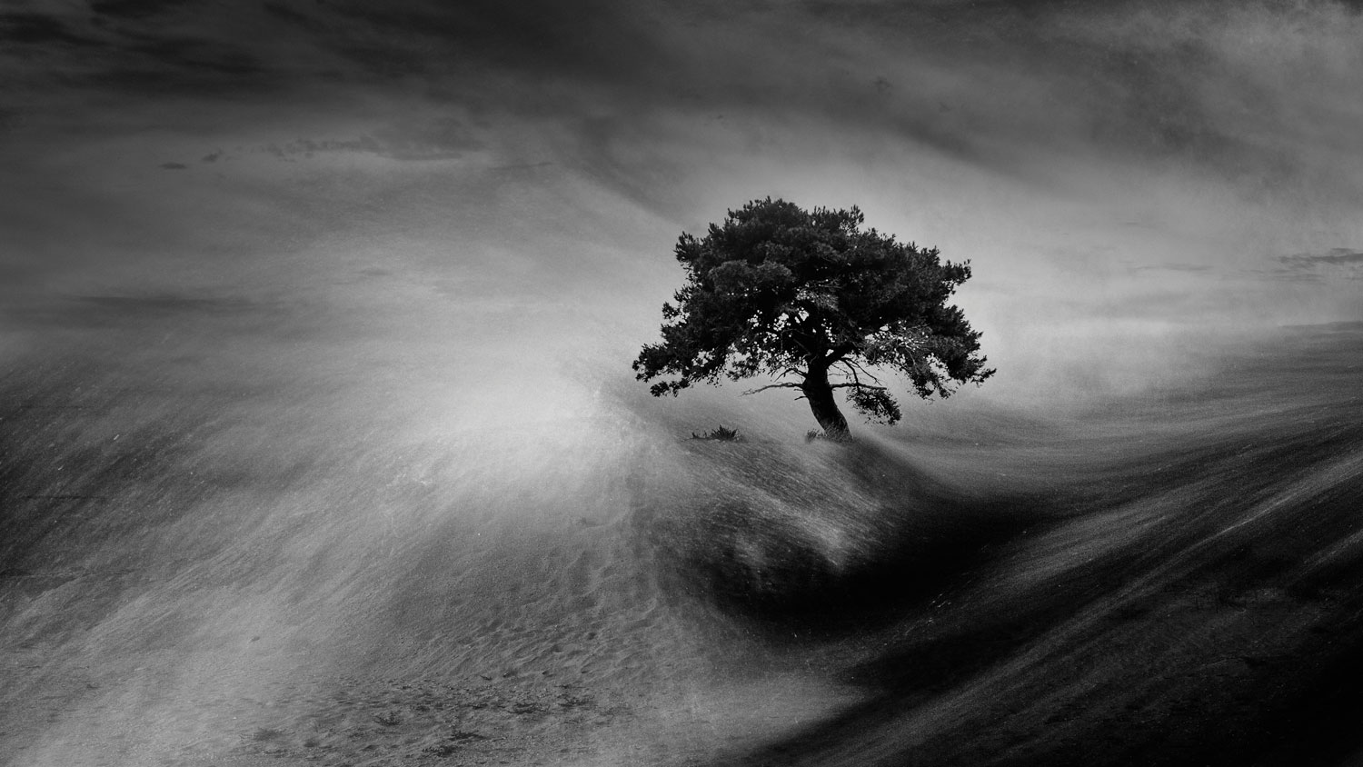 Sandstorm in the Delta of Nestos