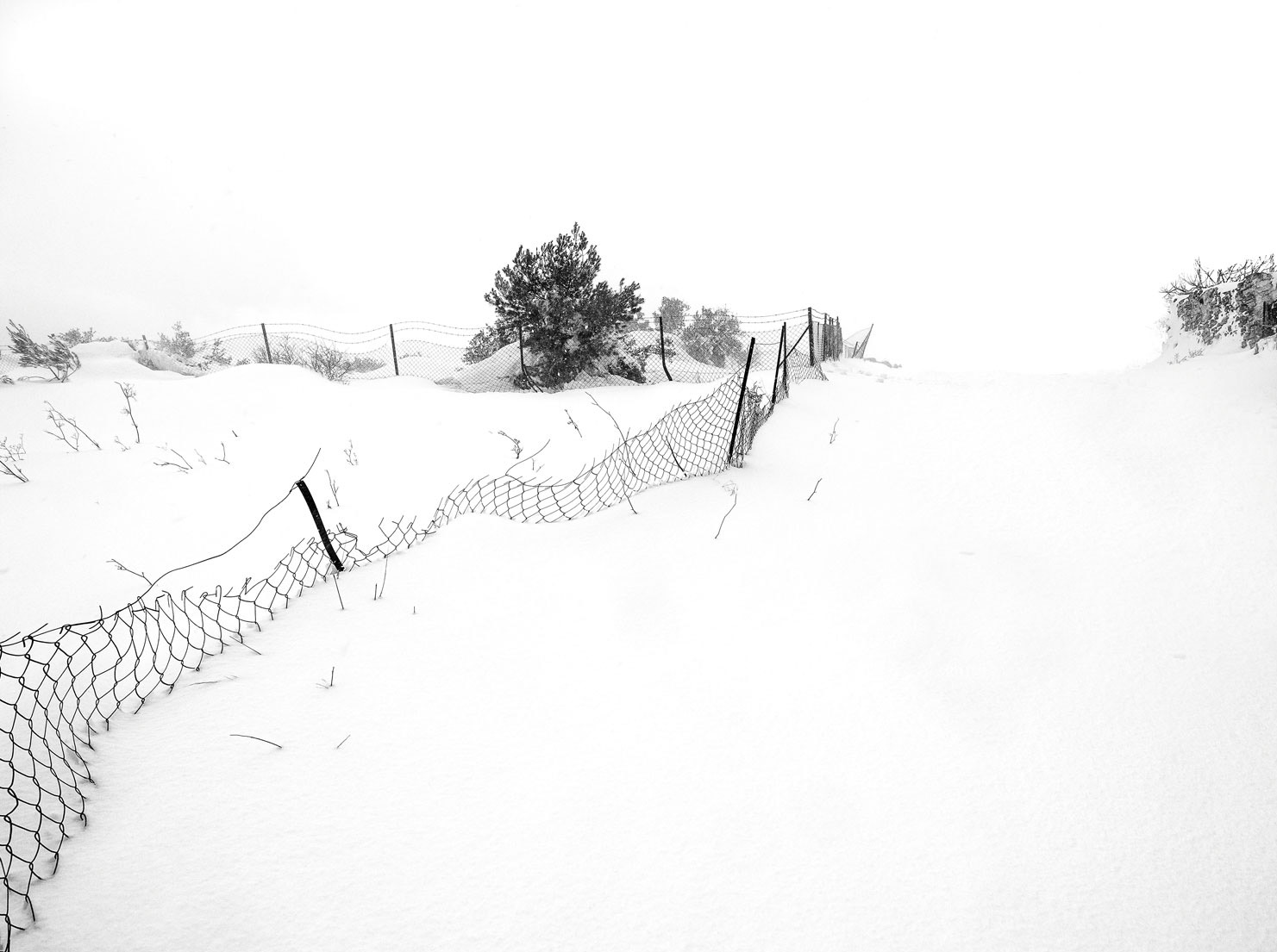 The snowfall of "Hope"