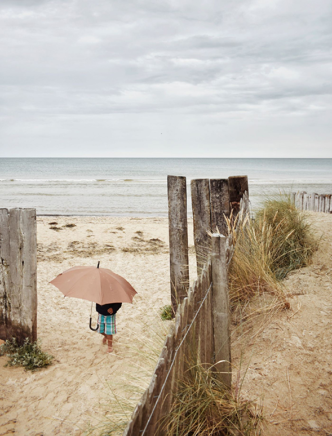 Normandy - Little Boy