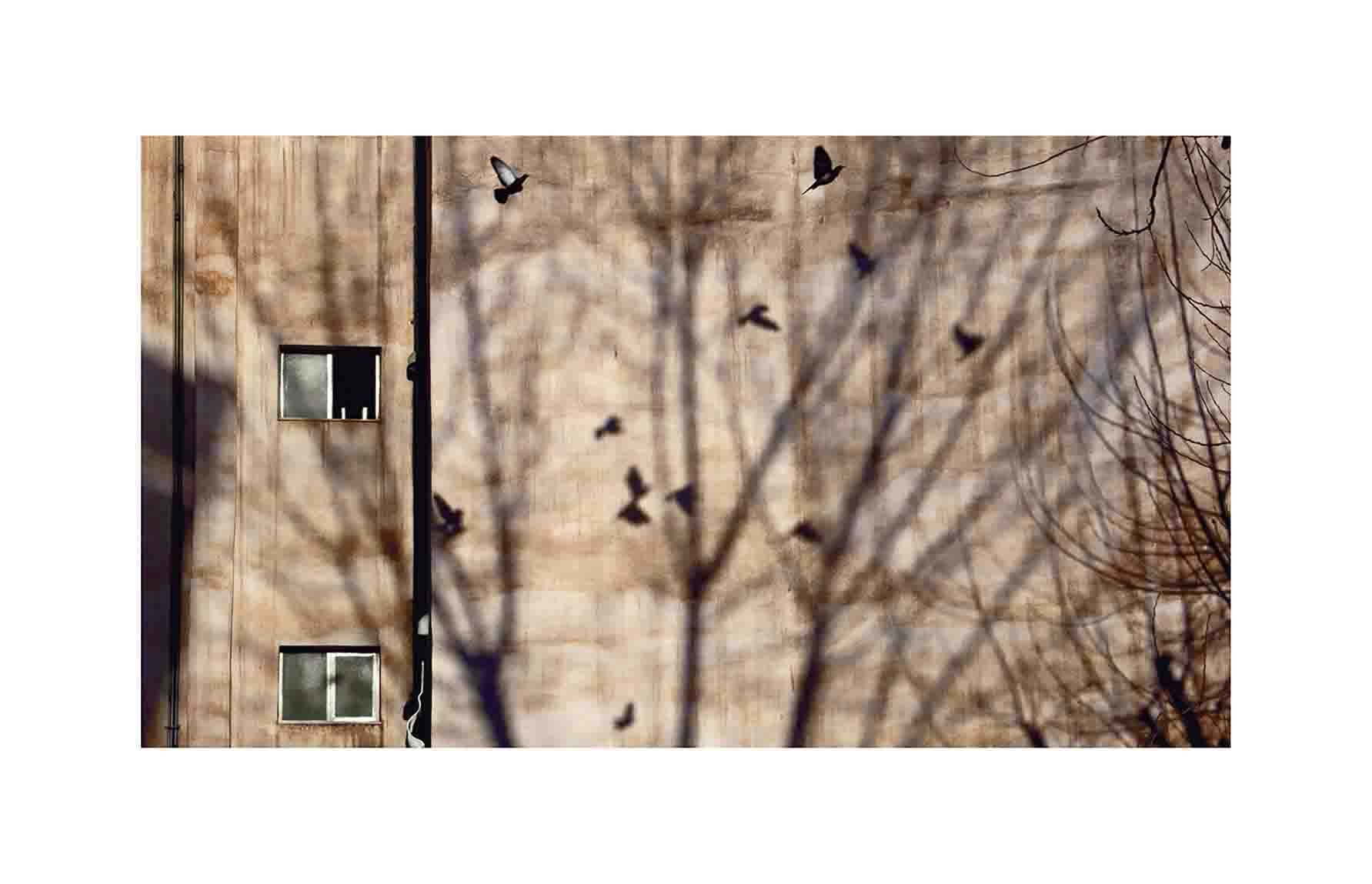 Athens November morning_03