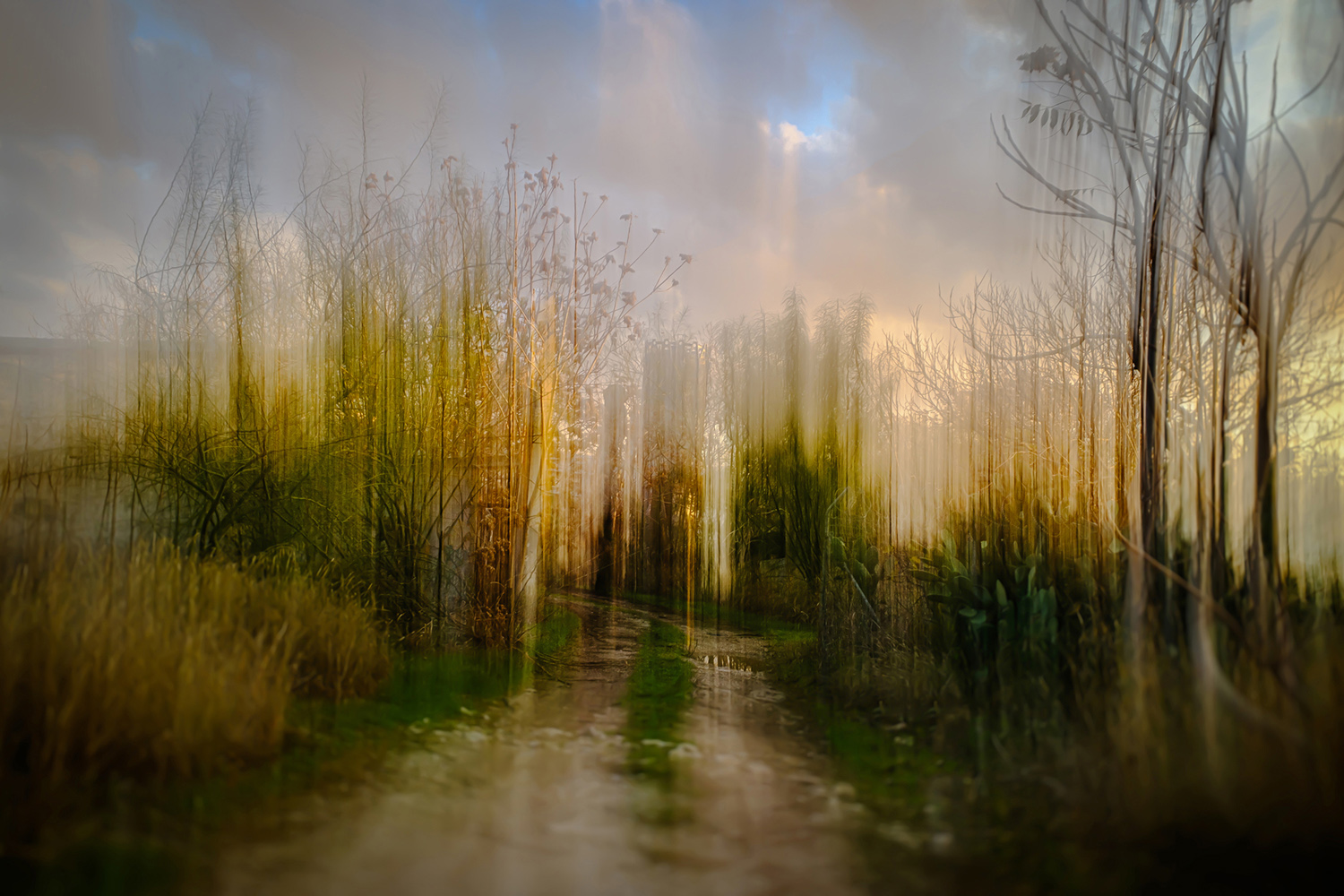 © Vandoros Nikos 19