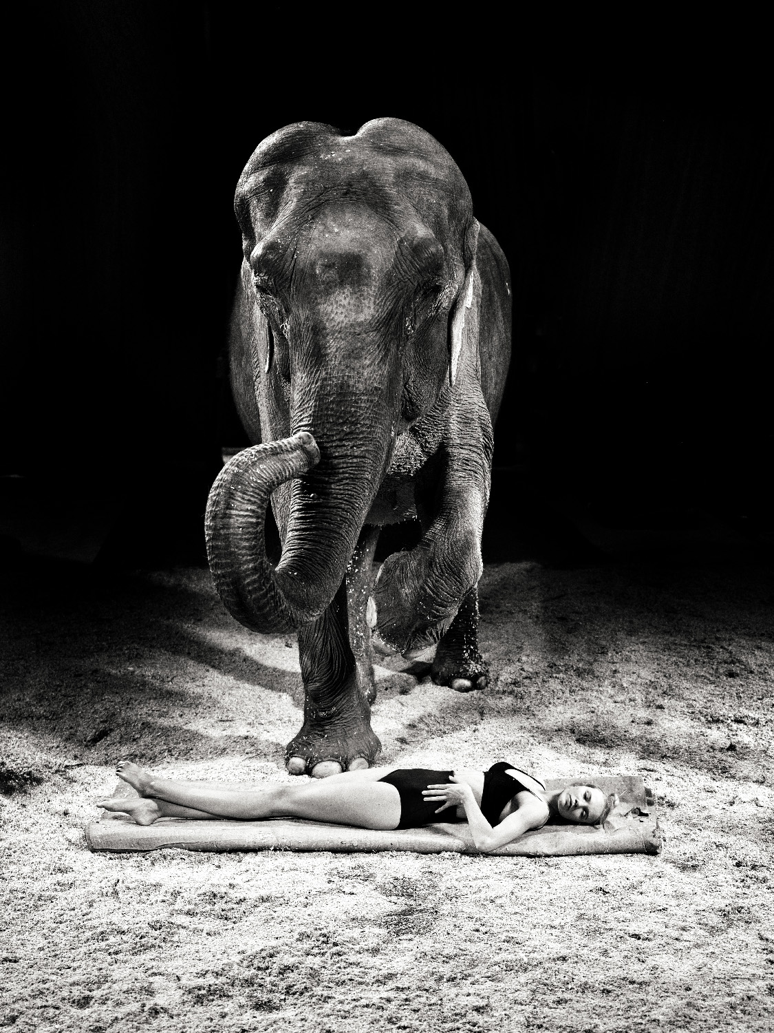 The girl and her elephant