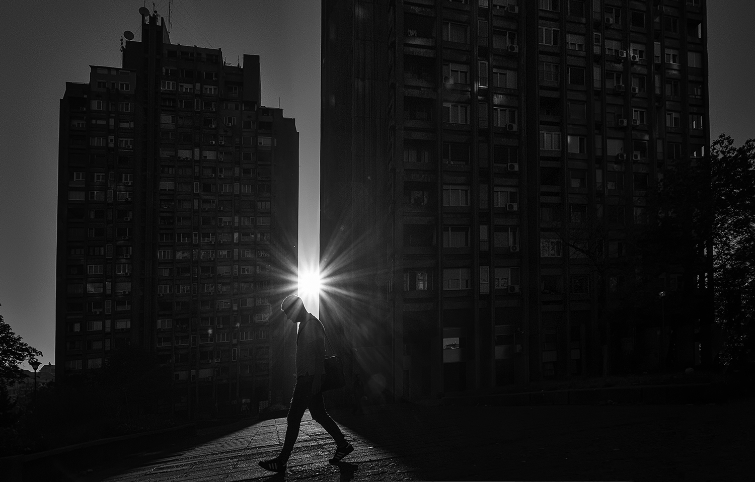 A Place Among Them 5