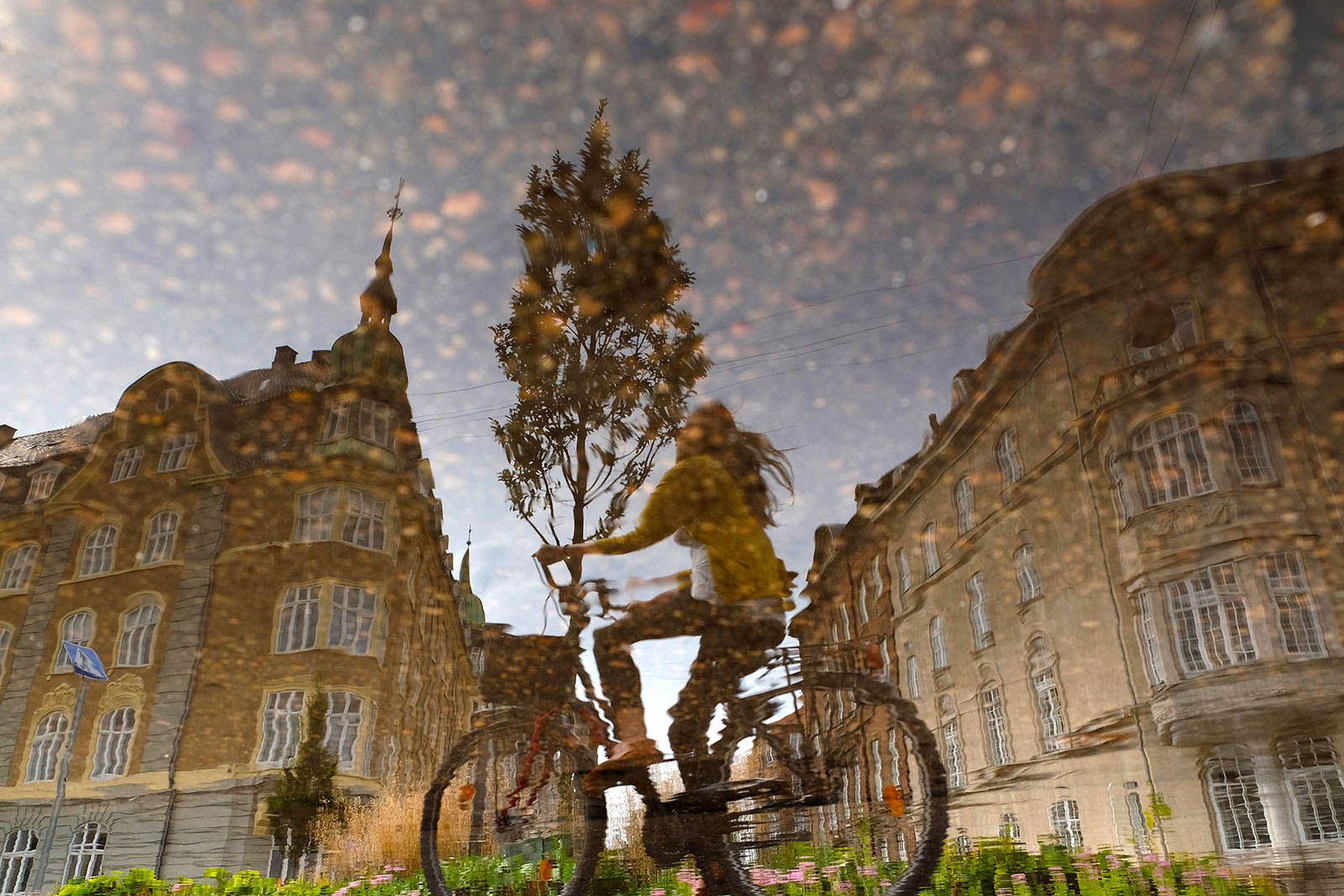 Hidden Reflections 3